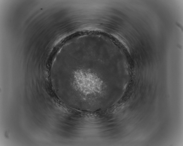 X0000097490823200803071737