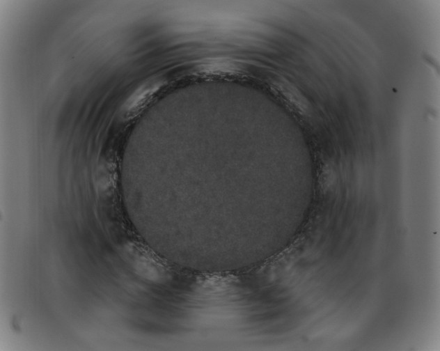 X0000097490824200803071737