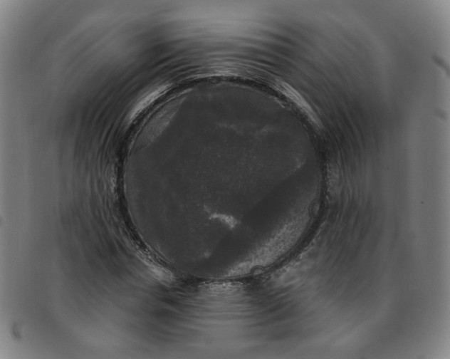 X0000097490826200803071737