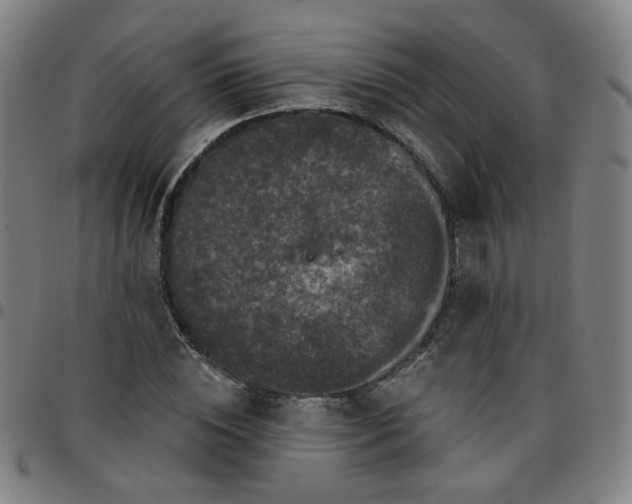 X0000097490828200803071737