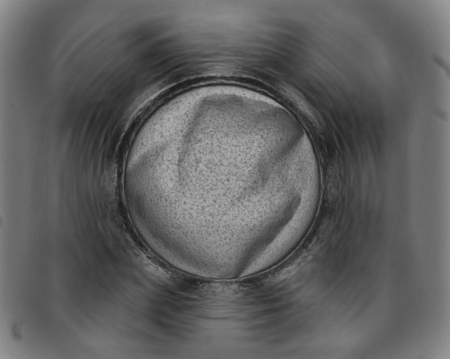 X0000097490831200803071737