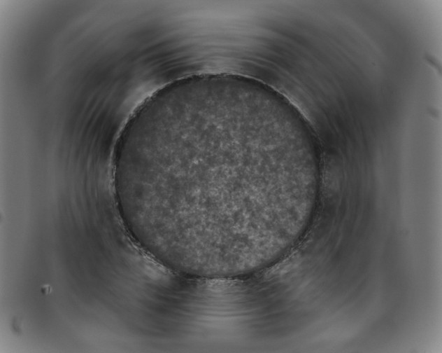 X0000097490832200803071737