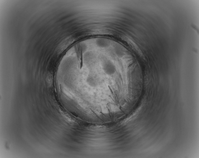 X0000097490833200803071737