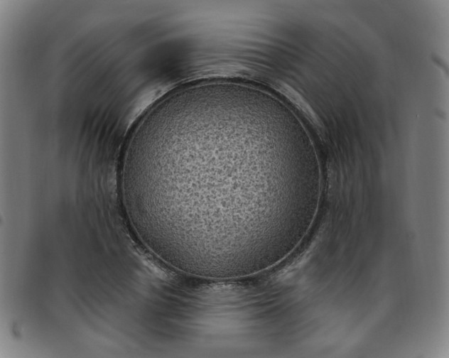 X0000097490834200803071737