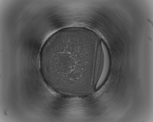 X0000097490838200803071737