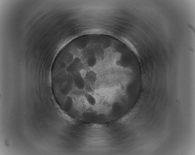 X0000097490839200803071737