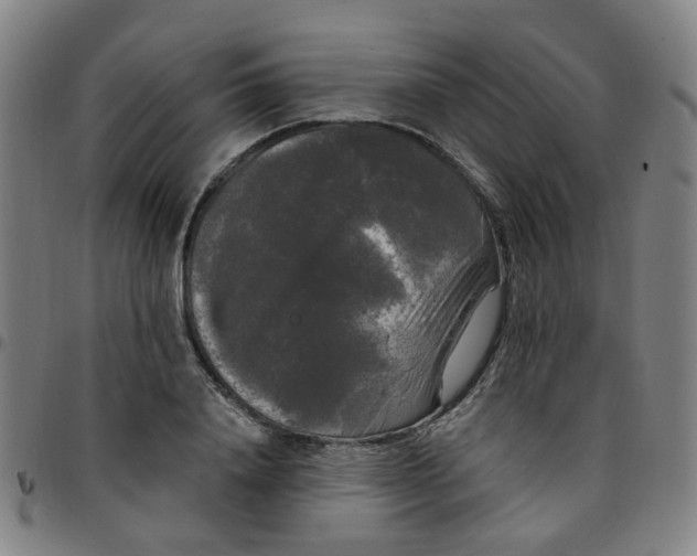 X0000097490840200803071737