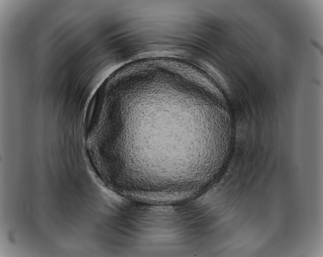 X0000097490844200803071737