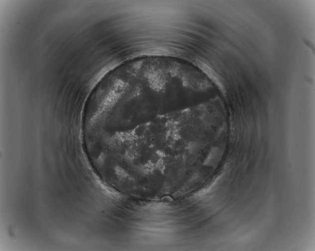 X0000097490845200803071737