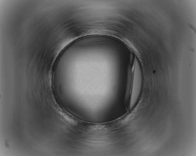 X0000097490846200803071737