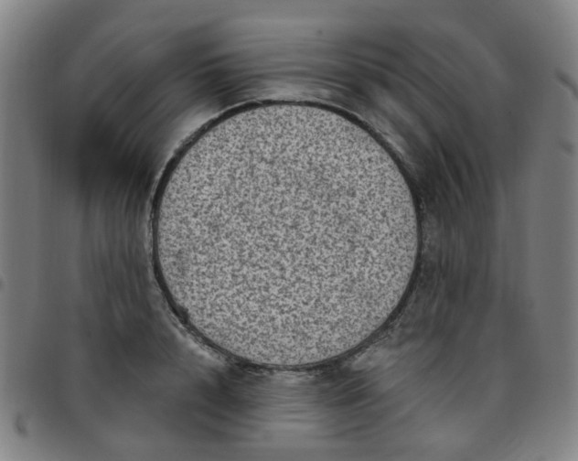 X0000097490848200803071737