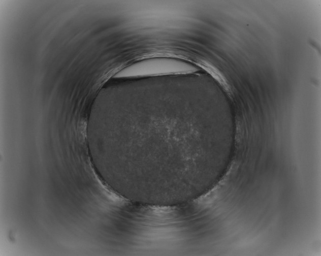 X0000097490849200803071737