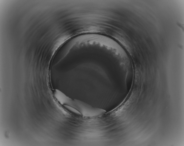 X0000097490850200803071737