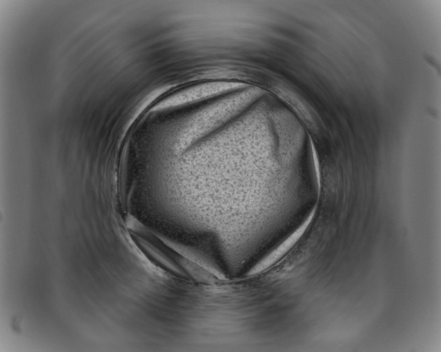 X0000097490852200803071737