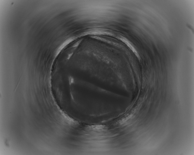 X0000097490853200803071737