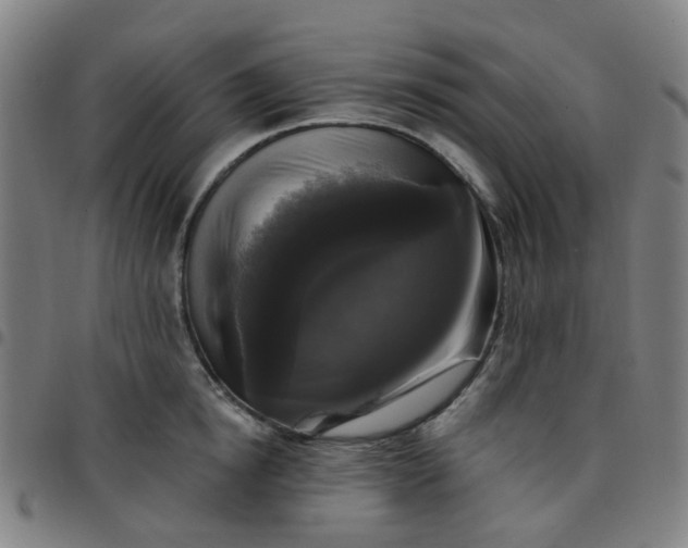 X0000097490854200803071737