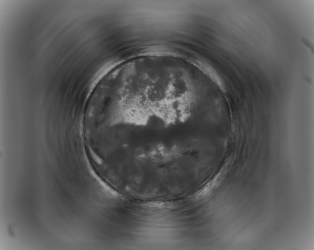 X0000097490855200803071737