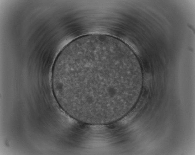 X0000097490856200803071737