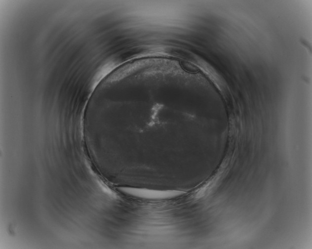 X0000097490858200803071737