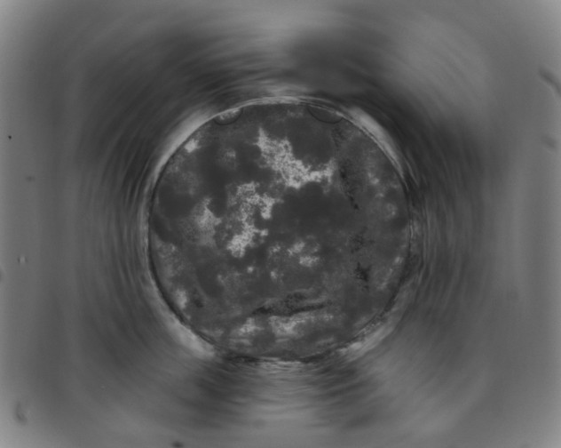 X0000097490859200803071737