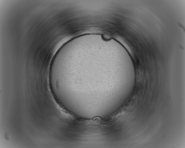 X0000097490861200803071737