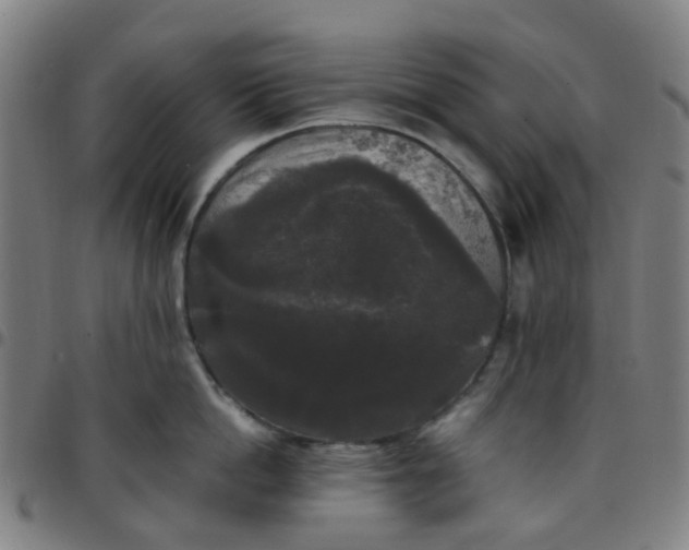 X0000097490862200803071737