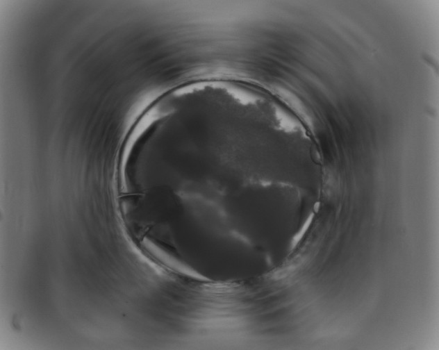 X0000097490863200803071737