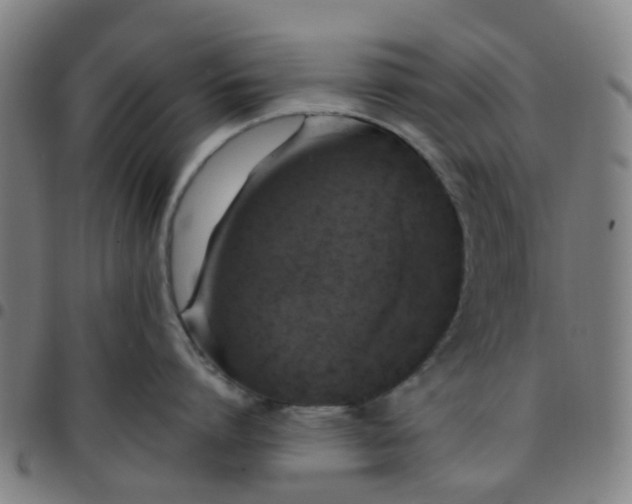 X0000097490864200803071737