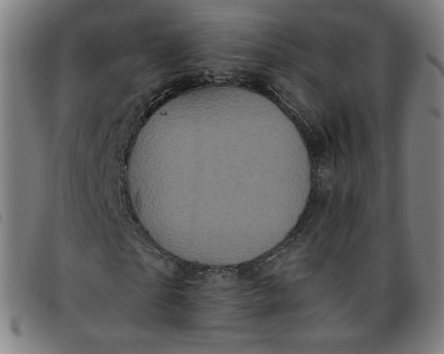 X0000097490865200803071737