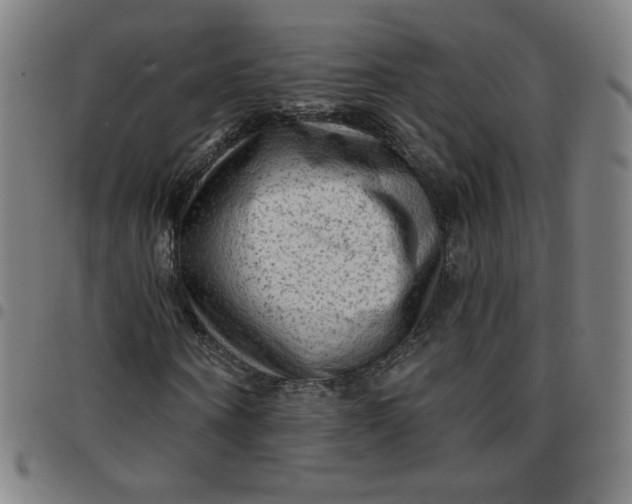 X0000097490866200803071737