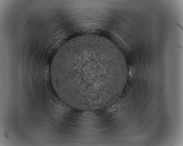 X0000097490867200803071737