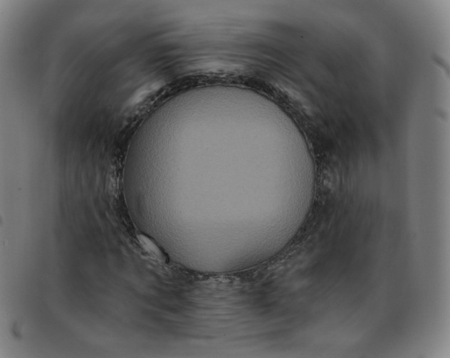 X0000097490869200803071737