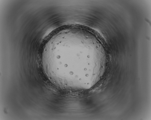 X0000097490871200803071737