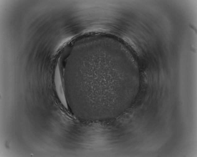 X0000097490872200803071737