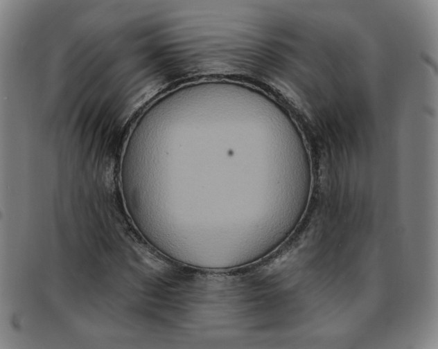 X0000097490873200803071737