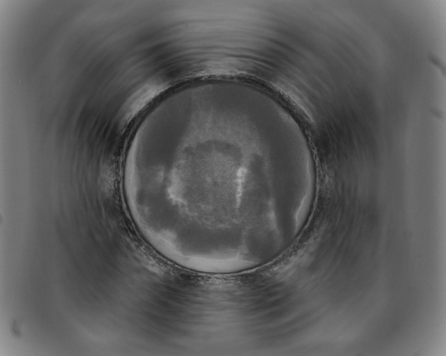 X0000097490874200803071737