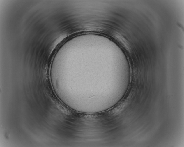 X0000097490875200803071737