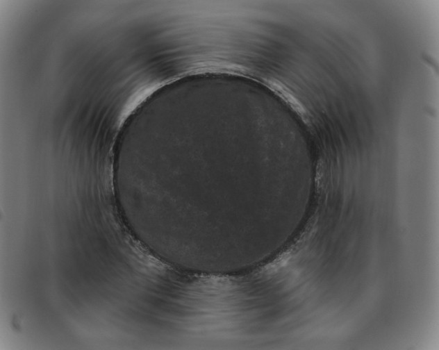 X0000097490877200803071737