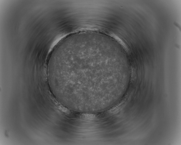 X0000097490878200803071737