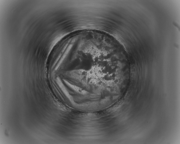 X0000097490879200803071737