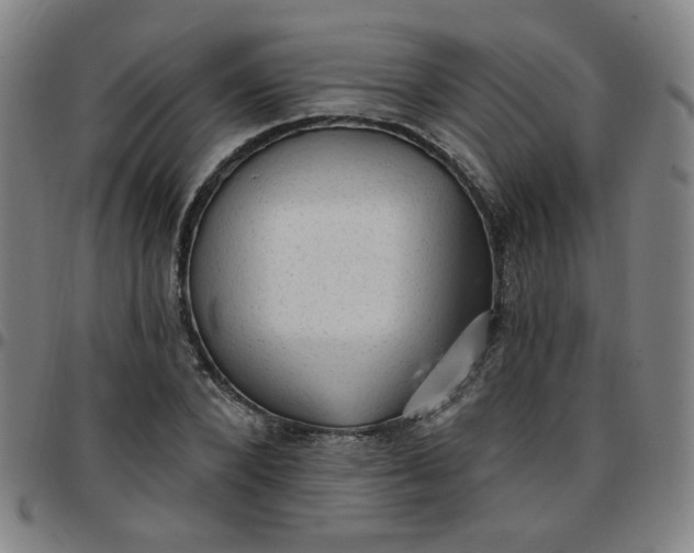 X0000097490880200803071737