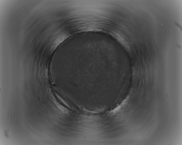 X0000097490881200803071737