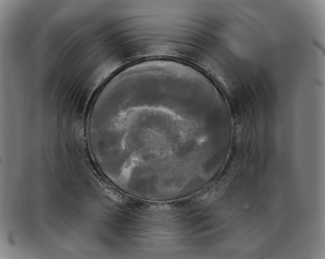 X0000097490882200803071737