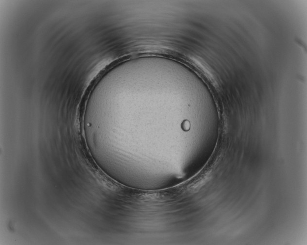 X0000097490883200803071737