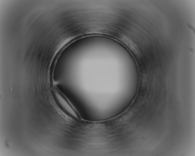 X0000097490884200803071737