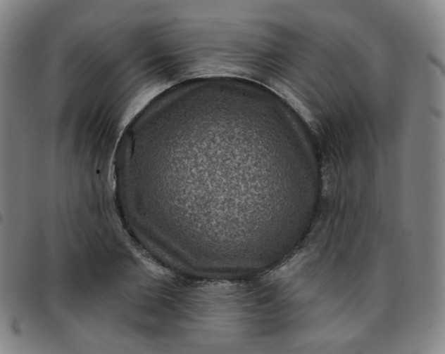 X0000097490885200803071737