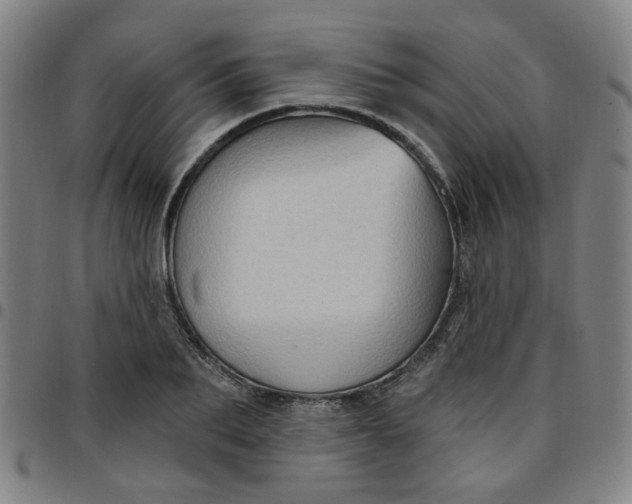 X0000097490887200803071736