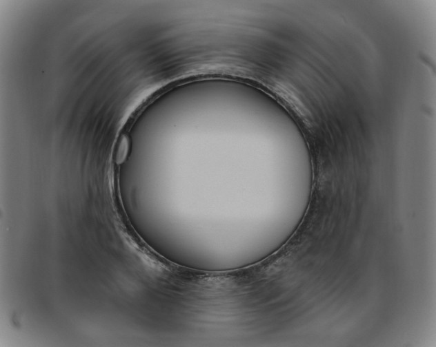 X0000097490888200803071736