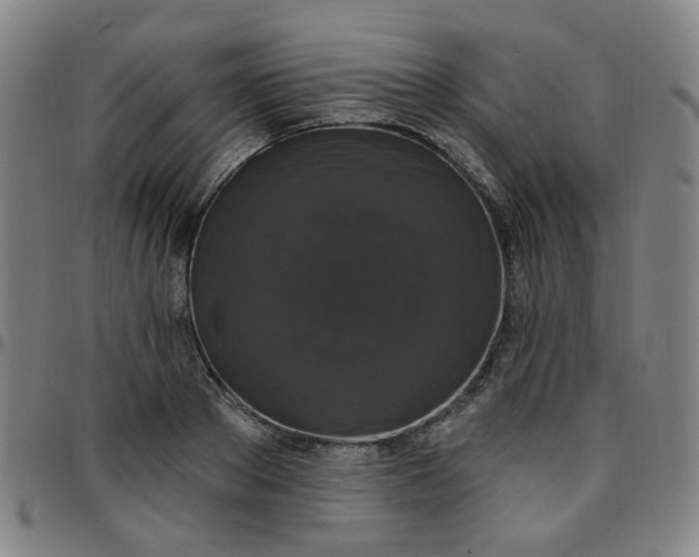 X0000097490889200803071736