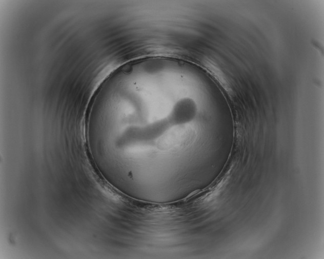 X0000097490891200803071736